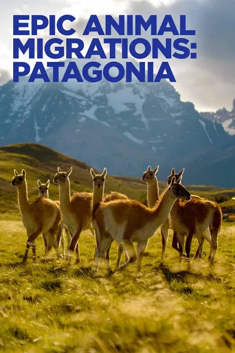 Pôster de Migrações Animais Épicas: Patagônia (2023)