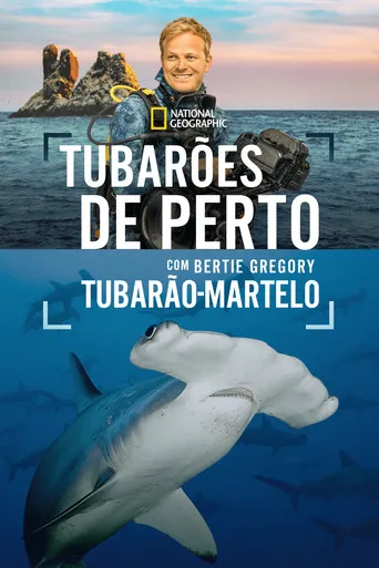 Pôster de Tubarões de Perto com Bertie Gregory Tubarão-martelo (2026)