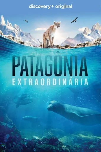 Pôster de Patagônia Extraordinária (2022)