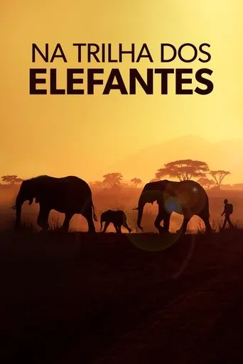 Pôster de Na Trilha dos Elefantes (2020)