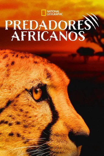 Pôster de Predadores Africanos (2011)
