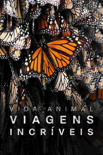 Pôster de As Mais Incríveis Viagens de Animais (2023)