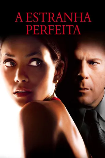 Pôster de A Estranha Perfeita (2007)