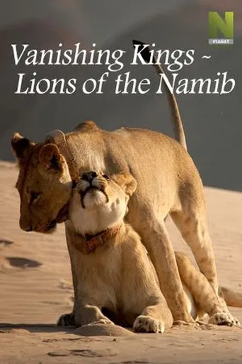 Pôster de Namib (2015)