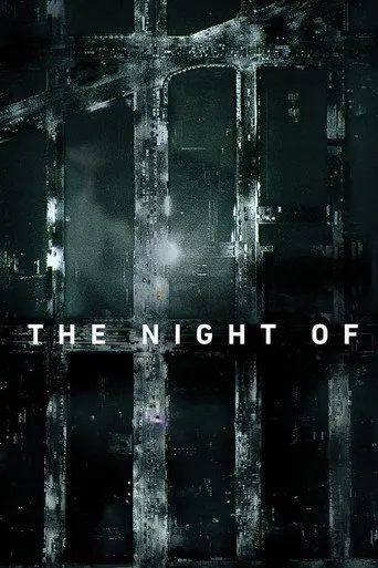 Pôster de The Night Of (2016)
