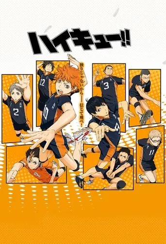 Pôster de HAIKYU!! (2014)