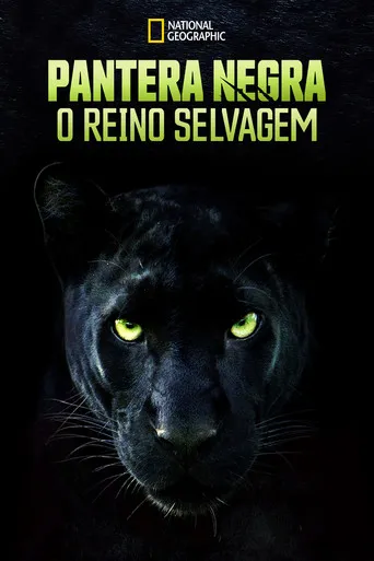 Pôster de Pantera Negra: O Reino Selvagem (2020)