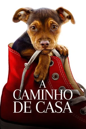 Pôster de A Caminho de Casa (2019)