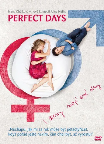 Pôster de Perfect Days (2011)
