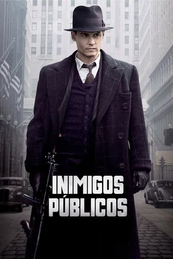 Pôster de Inimigos Públicos (2009)
