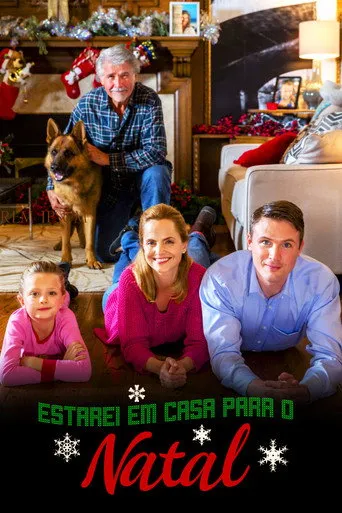 Pôster de Estarei em casa para o Natal (2016)