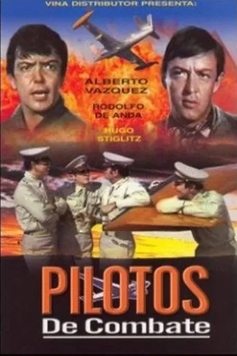 Pôster de Pilotos de combate (1973)