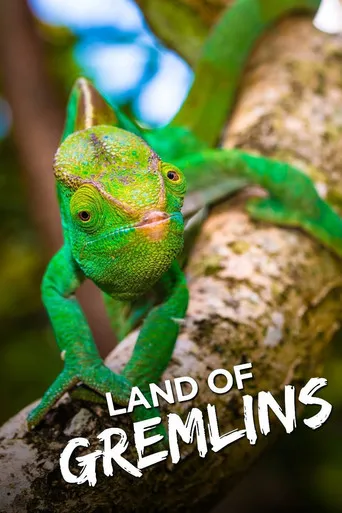 Pôster de A Incrível Madagascar (2015)