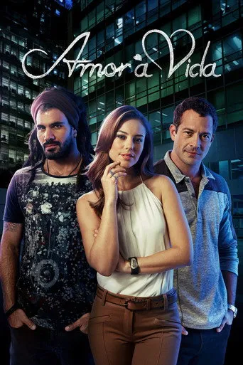 Pôster de Amor à Vida (2013)