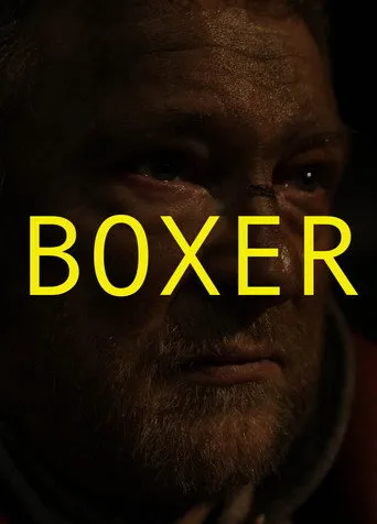 Pôster de Boxer (2010)