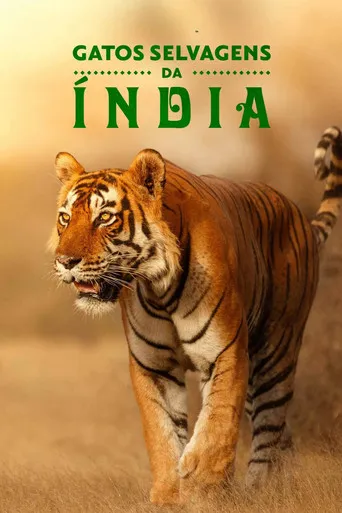 Pôster de Gatos Selvagens da Índia (2020)