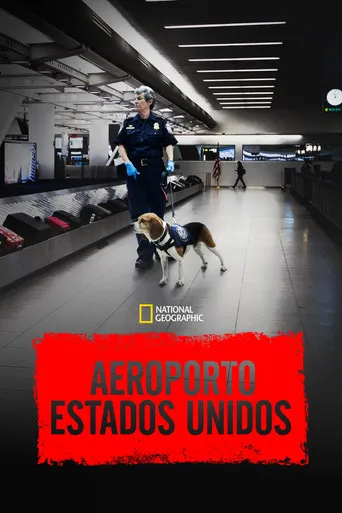 Pôster de Aeroporto: Estados Unidos (2020)