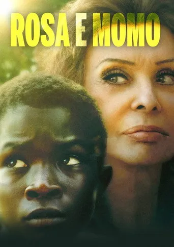 Pôster de Rosa e Momo (2020)