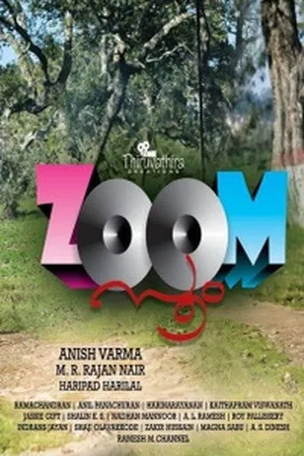 Pôster de Zoom (2016)