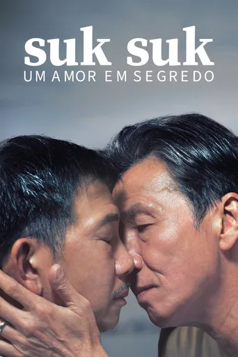 Pôster de Amor Entre Segredos [Dublado]