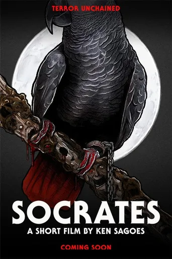 Pôster de Socrates (2026)