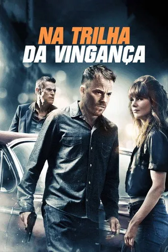 Pôster de Na Trilha da Vingança (2012)