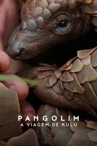 Pôster de Pangolim: A Viagem de Kulu (2025)