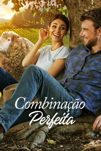 Pôster de Combinação Perfeita (2022)