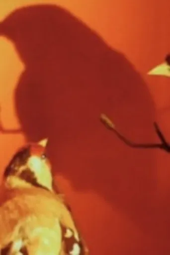 Pôster de THE GOLDFINCH (After Fabritius) (2020)