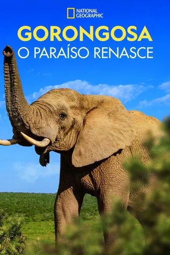 Pôster de Gorongosa: O Paraíso Renasce (2022)