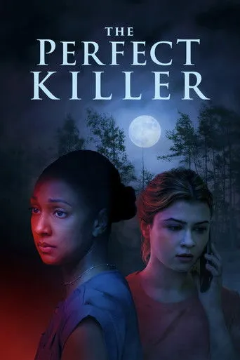 Pôster de The Perfect Killer (2025)