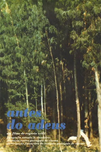 Pôster de Antes do Adeus (1977)