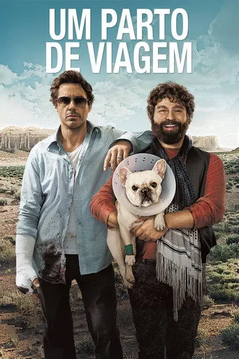 Pôster de Um Parto de Viagem (2010)