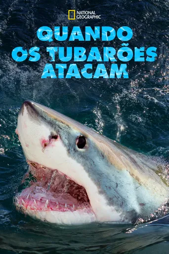 Pôster de Quando os Tubarões Atacam (2013)