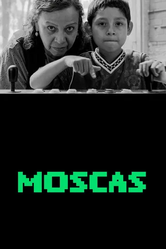Pôster de Moscas (2026)