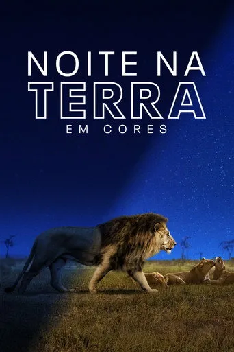 Pôster de Noite na Terra em Cores (2020)